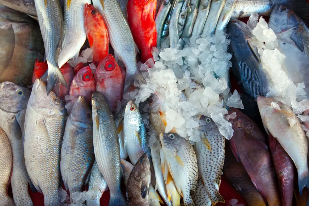 Restaurant de poisson à Eysines