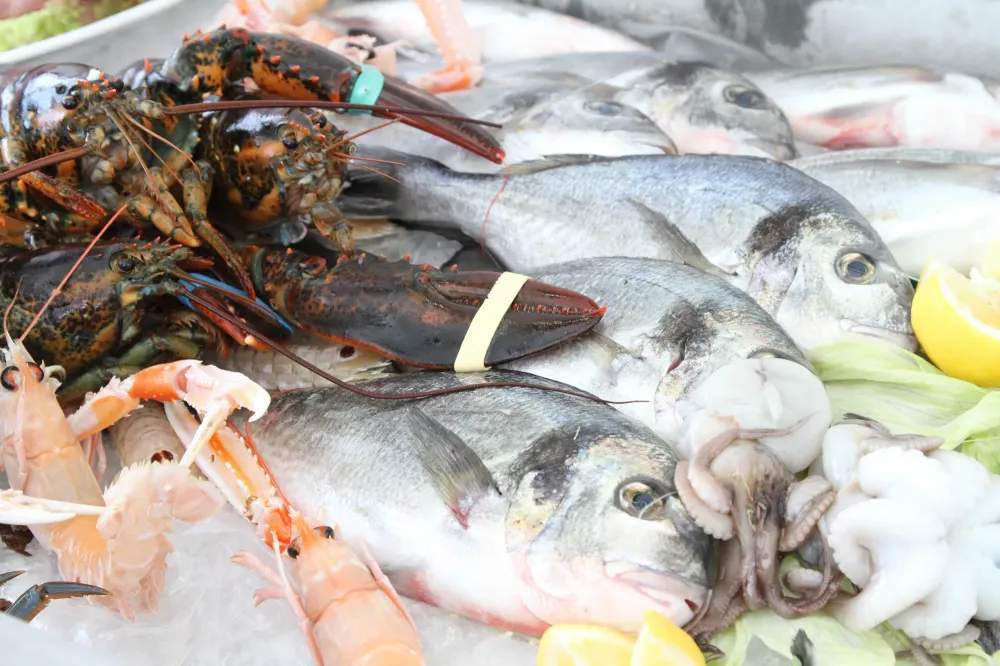 poissons-2